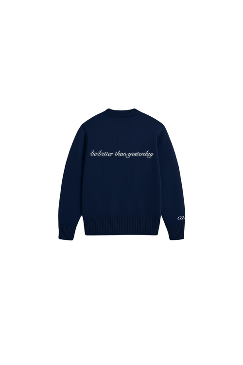CAINT NAVY KNITTED JUMPER